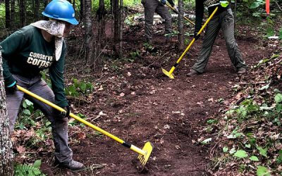 Lake County Trail Work in the News!