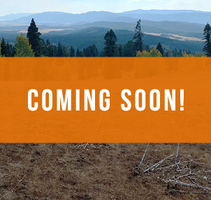 Brundage to Bear Basin Connector