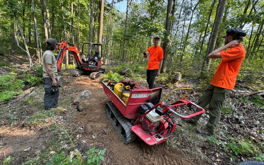 New Feature Dives Deep Into Our Timberland Hills Work