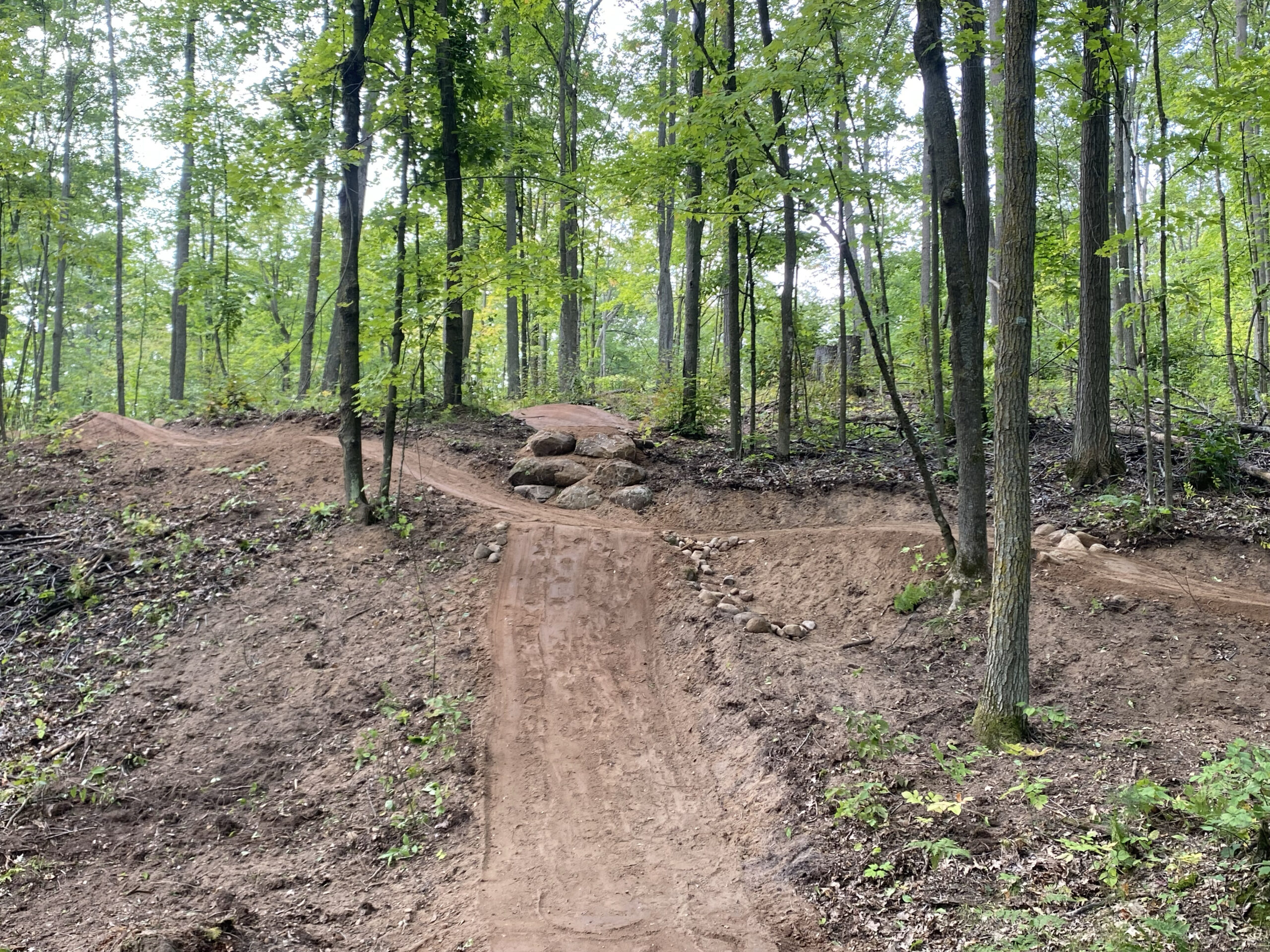 Timberlandhills track
