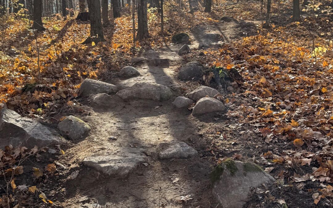 How a Ski Forest Became One of Wisconsin’s Best Mountain Biking Destinations