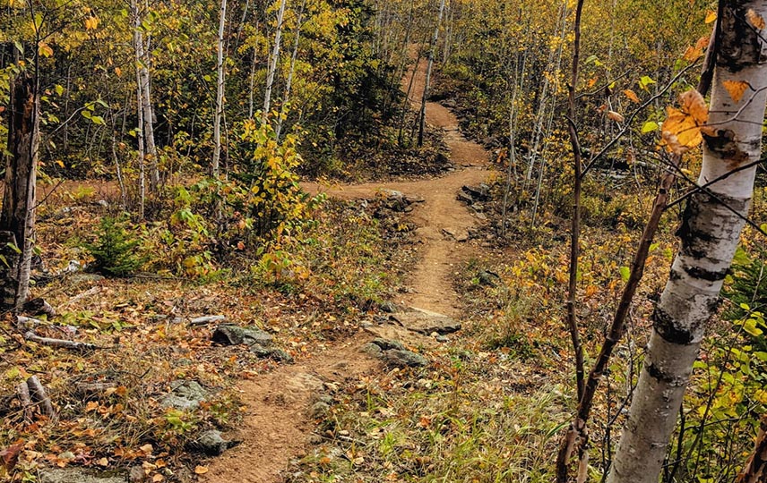 OTM_0000_Yuka's Paradise