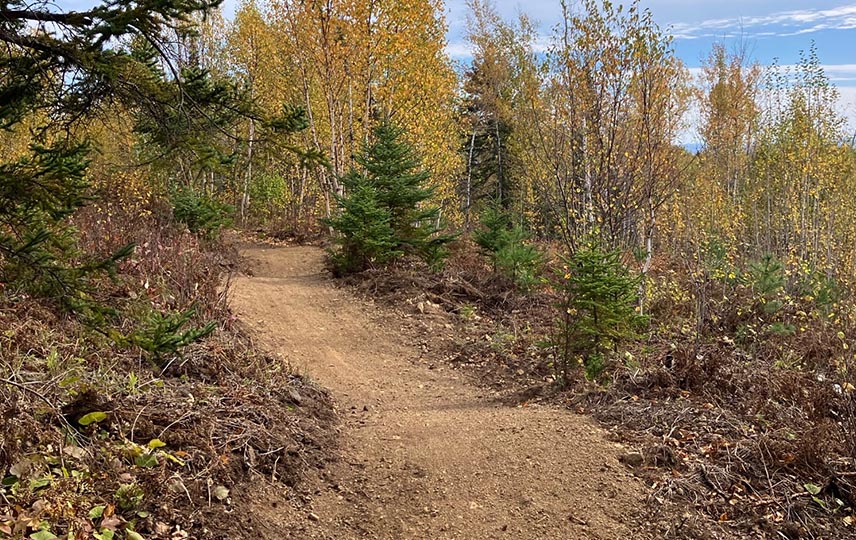 OTM_0001_Yuka's Paradise - Rolling